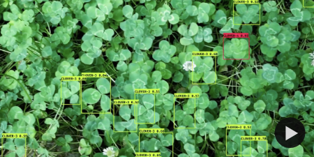 Drone in Search for a Four-Leaf Clover, Sputniko!, 2025'