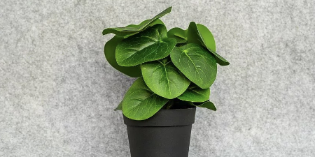 Achtsamkeit im Akkord, Lisa Großkopf, 2025'