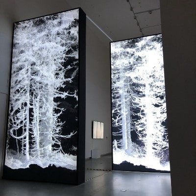 Impressions from Shenzhen