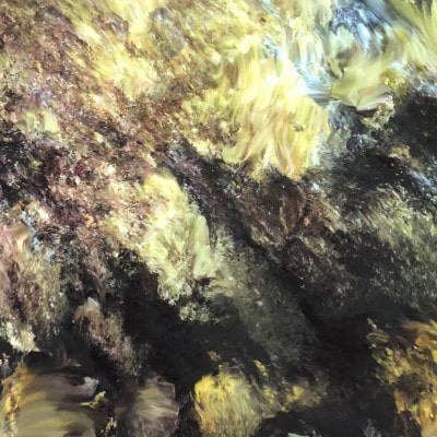 Impressions from Shenzhen