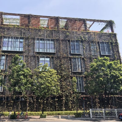 Impressions from Shenzhen