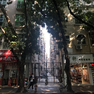 Impressions from Shenzhen