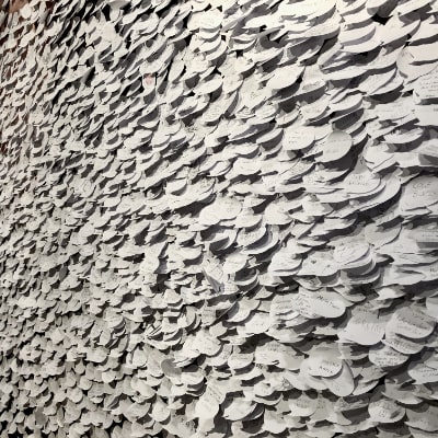 Diverse, Feedback, 2019-2020