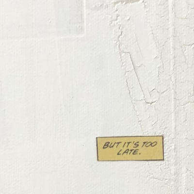 sandra chevrier, La cage entre le salut a l'enfer, 2014