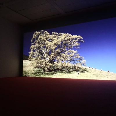 Philippe Parreno, June 8, 1968, 2009