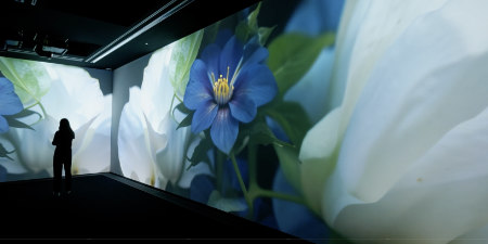 Echoes of the Earth: Living Archive