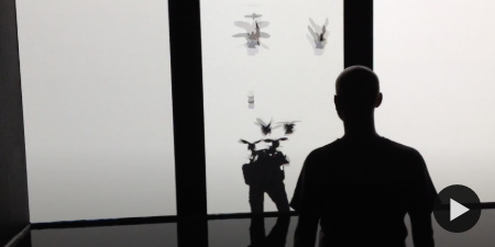 The Treachery of Sanctuary, Chris Milk, 2014'