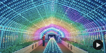 Digital Vegetables, PARTY, 2017