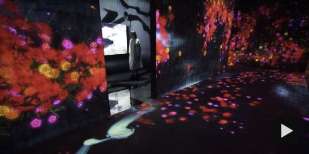 Borderless World, teamLab, 2024