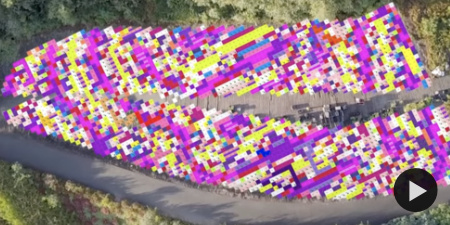 Pollinator Pathmaker living artwork by Alexandra Daisy Ginsberg at Eden Project