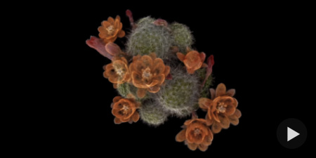 Making Desert Pulse by ScanLAB Projects