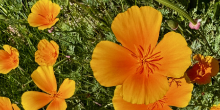 test'
