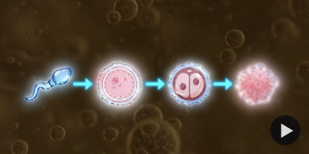 They Just Made a Chip With Living Human Brain Cells